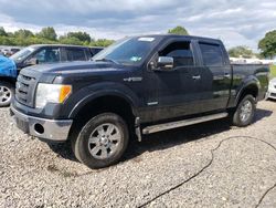 Ford salvage cars for sale: 2011 Ford F150 Supercrew