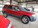 2005 Ford Escape XLT