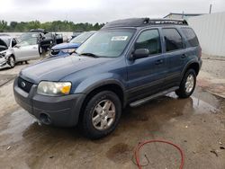 Salvage cars for sale at Louisville, KY auction: 2006 Ford Escape XLT