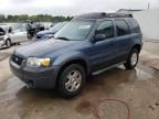 2006 Ford Escape XLT