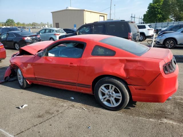 2013 Ford Mustang