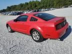 2008 Ford Mustang