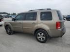 2010 Honda Pilot EXL