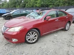 Salvage cars for sale at Waldorf, MD auction: 2010 Lexus ES 350