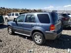 2006 Ford Escape XLT