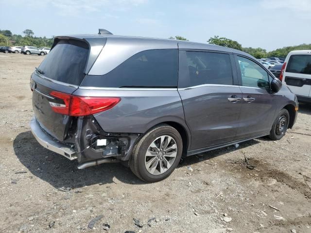 2024 Honda Odyssey EXL