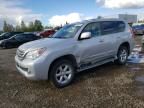 2010 Lexus GX 460 Premium