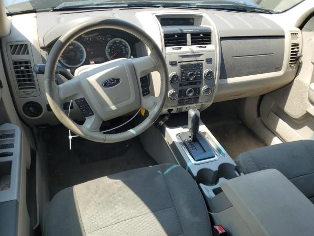 2009 Ford Escape XLT