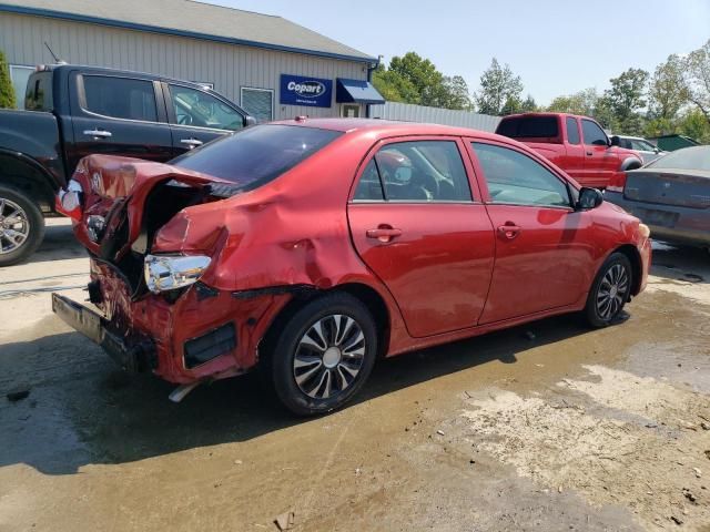 2010 Toyota Corolla Base