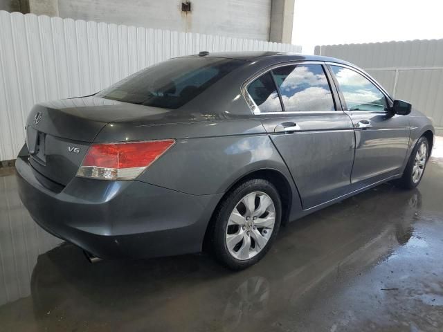 2010 Honda Accord EXL