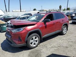 2019 Toyota Rav4 XLE en venta en Van Nuys, CA