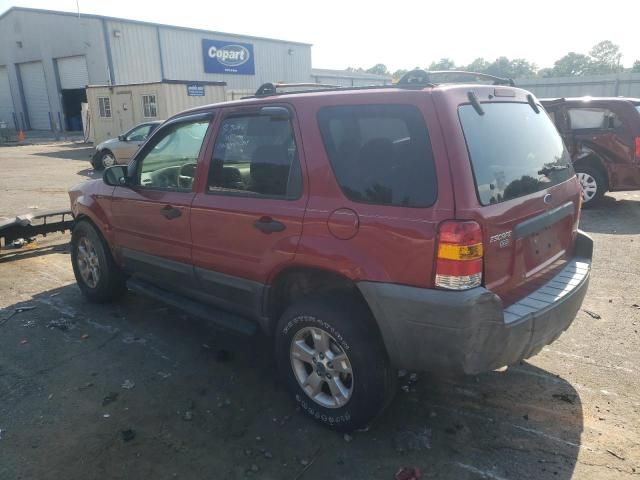 2005 Ford Escape XLT