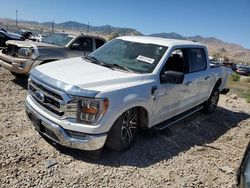 Salvage cars for sale at Magna, UT auction: 2023 Ford F150 Supercrew