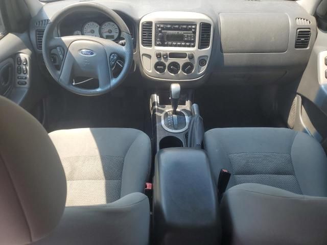 2007 Ford Escape XLT