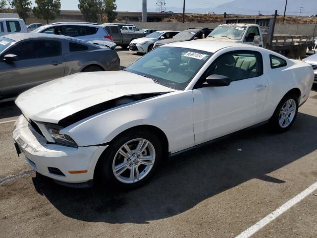 2010 Ford Mustang