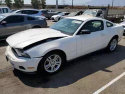 Ford salvage cars for sale: 2010 Ford Mustang