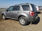 2010 Ford Escape Limited