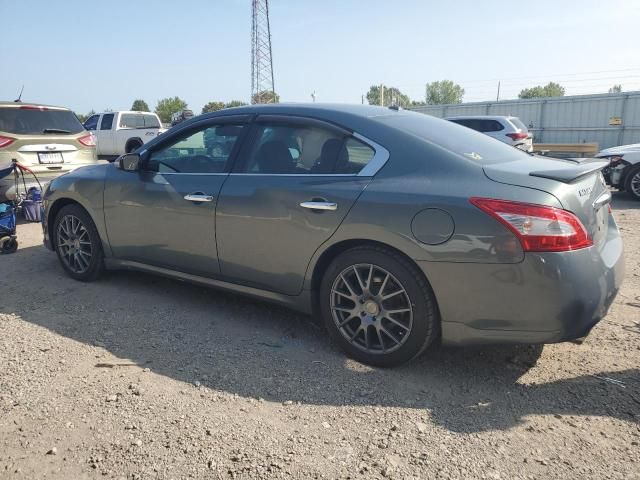 2010 Nissan Maxima S