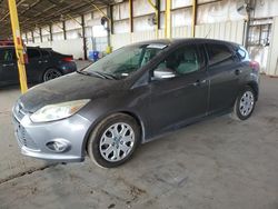 Salvage cars for sale at Phoenix, AZ auction: 2012 Ford Focus SE