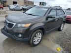 2011 KIA Sorento EX