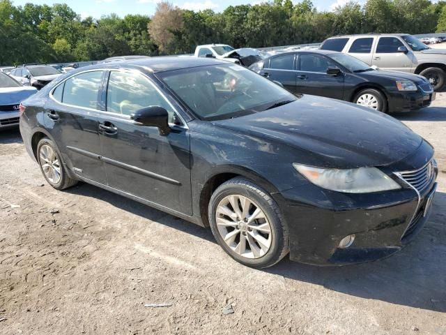 2013 Lexus ES 300H