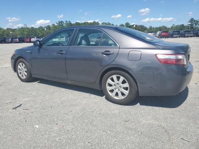 2009 Toyota Camry Hybrid