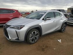 Salvage cars for sale at Brighton, CO auction: 2019 Lexus UX 200