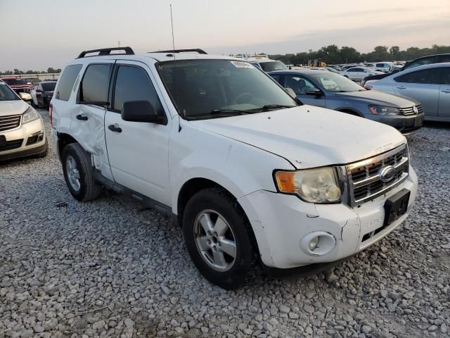 2009 Ford Escape XLT