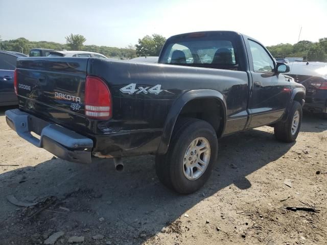 2004 Dodge Dakota SXT