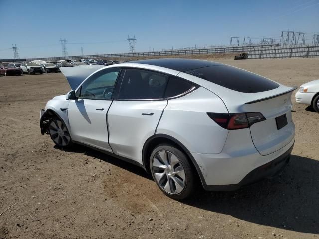 2020 Tesla Model Y