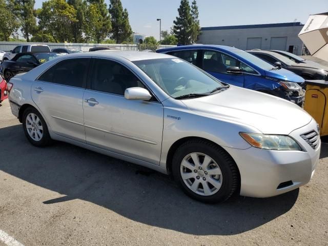 2008 Toyota Camry Hybrid