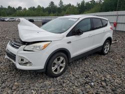 Ford salvage cars for sale: 2014 Ford Escape SE