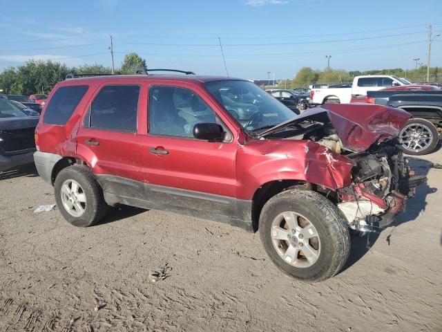 2005 Ford Escape XLT