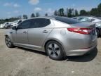 2013 KIA Optima Hybrid