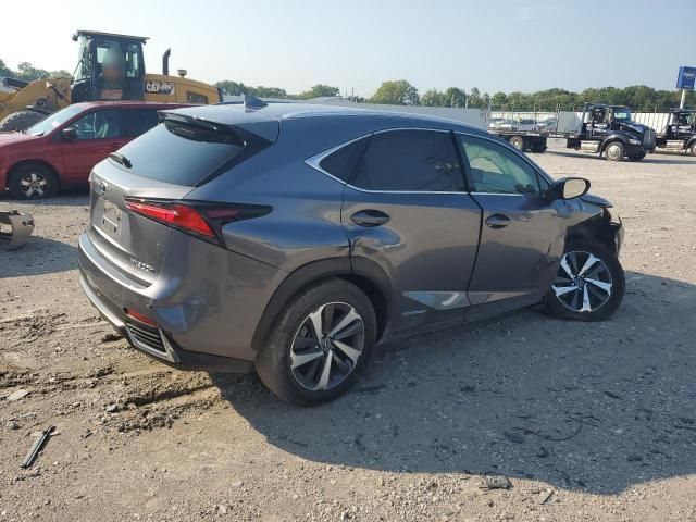 2020 Lexus NX 300H