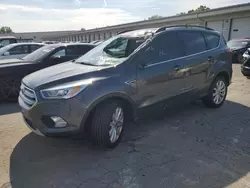 Salvage cars for sale at Louisville, KY auction: 2019 Ford Escape SEL