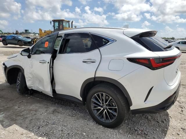 2024 Lexus NX 250 Premium