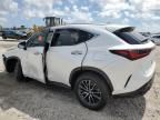 2024 Lexus NX 250 Premium