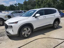 Salvage cars for sale from Copart Ocala, FL: 2023 Hyundai Santa FE SEL