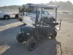 2019 Other Golf Cart