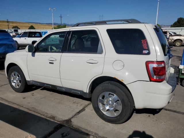 2012 Ford Escape Limited