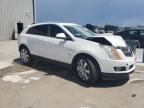 2012 Cadillac SRX Performance Collection