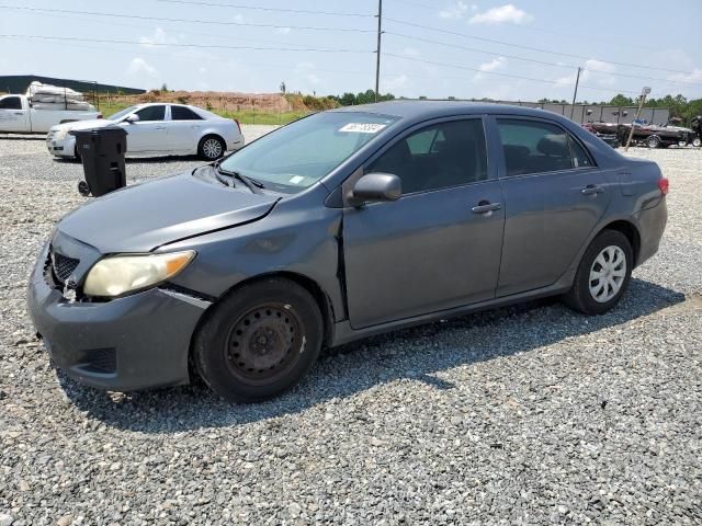 2010 Toyota Corolla Base