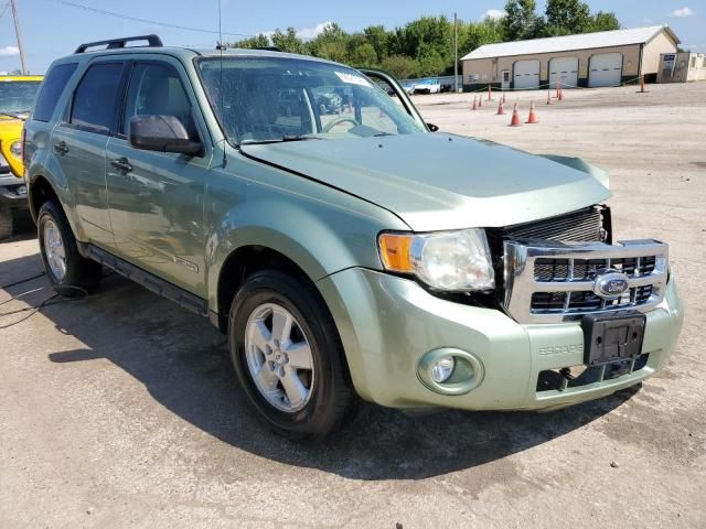 2008 Ford Escape XLT