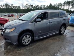 Salvage cars for sale at Harleyville, SC auction: 2016 Honda Odyssey EX