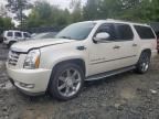 2009 Cadillac Escalade ESV Luxury