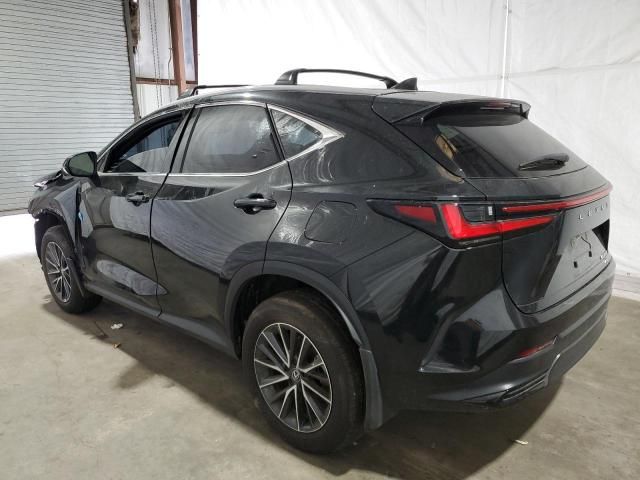 2024 Lexus NX 350H Base