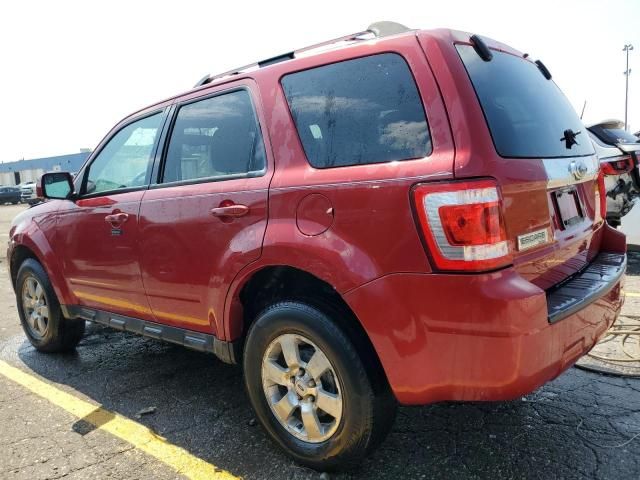 2010 Ford Escape Limited