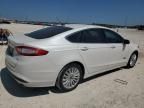 2013 Ford Fusion SE Phev