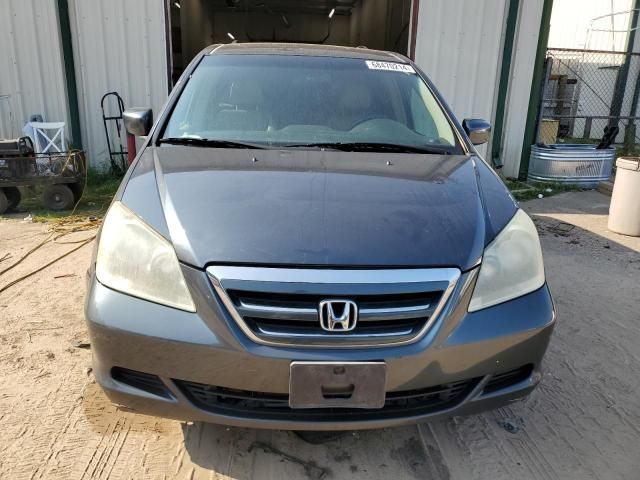 2005 Honda Odyssey EXL